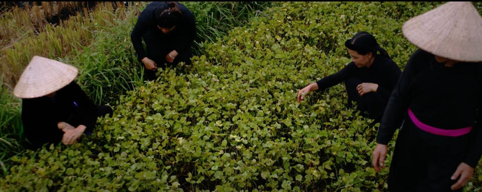 Đồng bào người dân Tây Bắc góp phần làm nên sự phát triển của dailyU