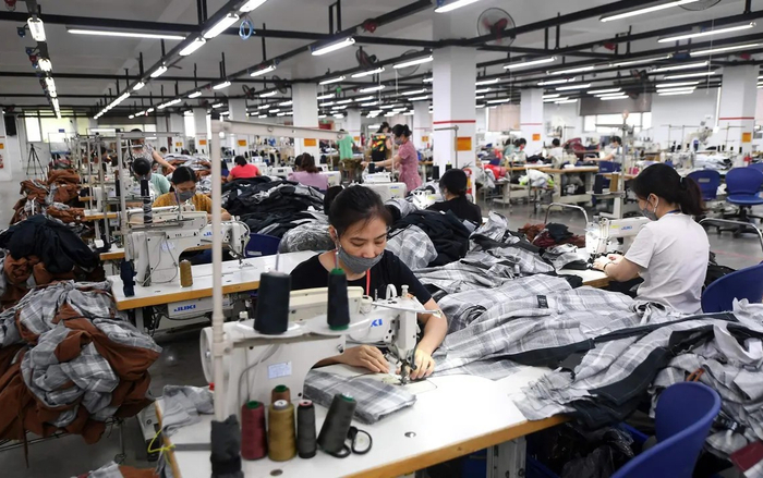 Vieclamnhamay.vn hỗ trợ người lao động chuyển đổi việc làm Ảnh 2