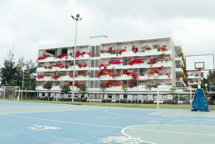  Hoa giấy nở rộ trong nắng hè, nên thơ đến vậy chỉ có ở ĐH FPT Đà Nẵng Ảnh 1