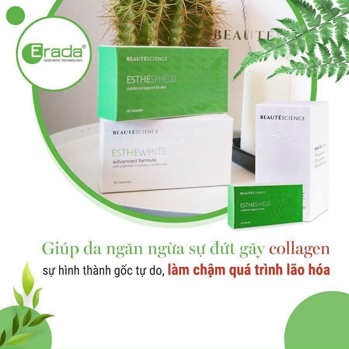 Estheshield sở hữu công thức đột phá từ chiết xuất dương xỉ