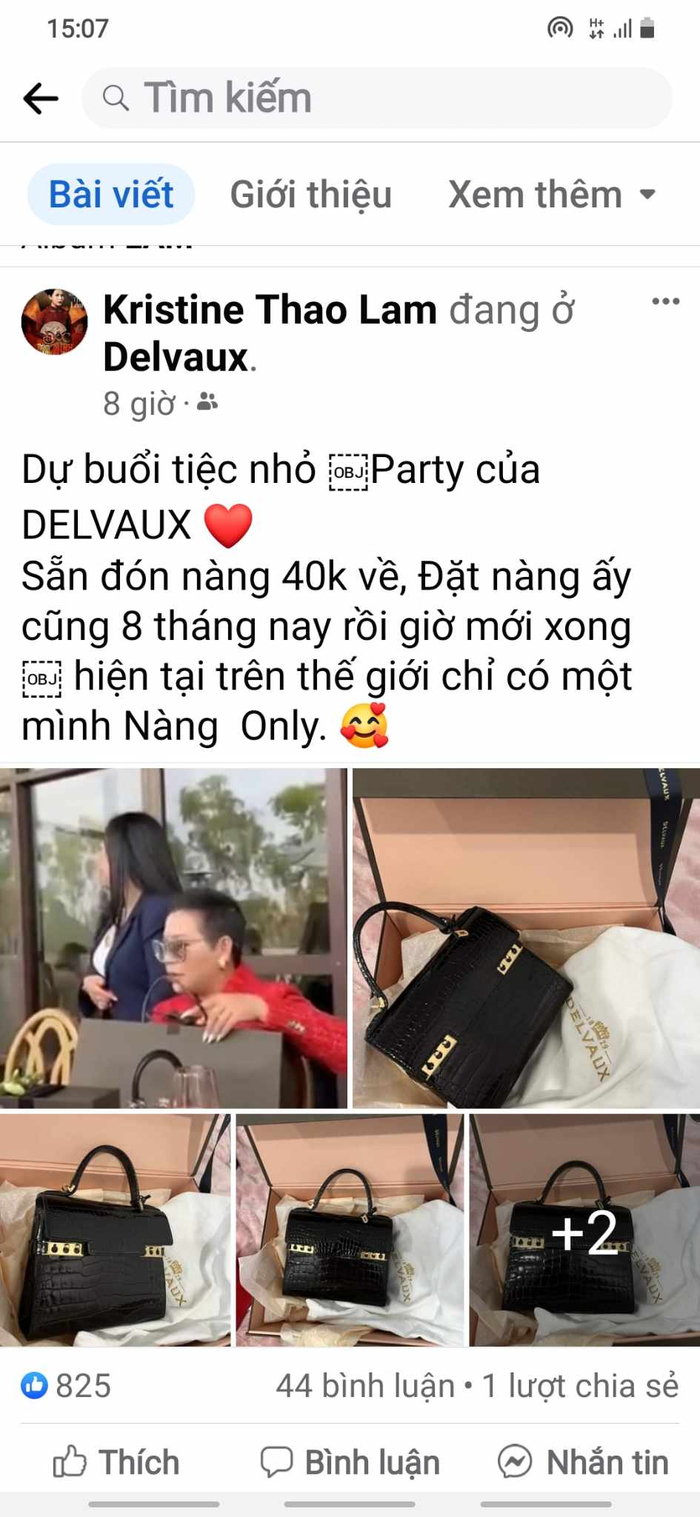 Kristine Thảo Lâm là người sở hữu chiếc túi xách hàng hiệu có một không hai trên thế giới này.