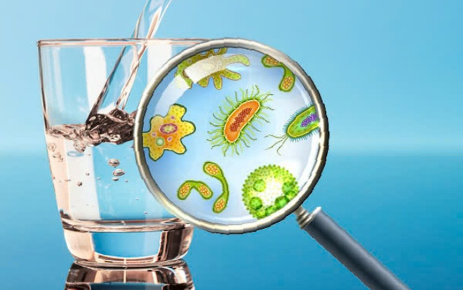 Nguy hại tiềm ẩn từ máy lọc nước hiệu suất thấp và nguồn nước kém chất lượng Ảnh 2