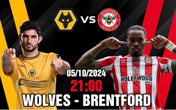 Bầy Sói Chạm Trán Bầy Ong: Trận Chiến Sống Còn Để Lội Ngược Dòng Ảnh 2