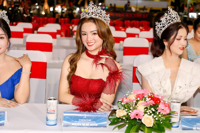 Trên cương vị mới, Mỹ Duyên muốn thực hiện nhiều dự án vì cộng đồng hơn nữa