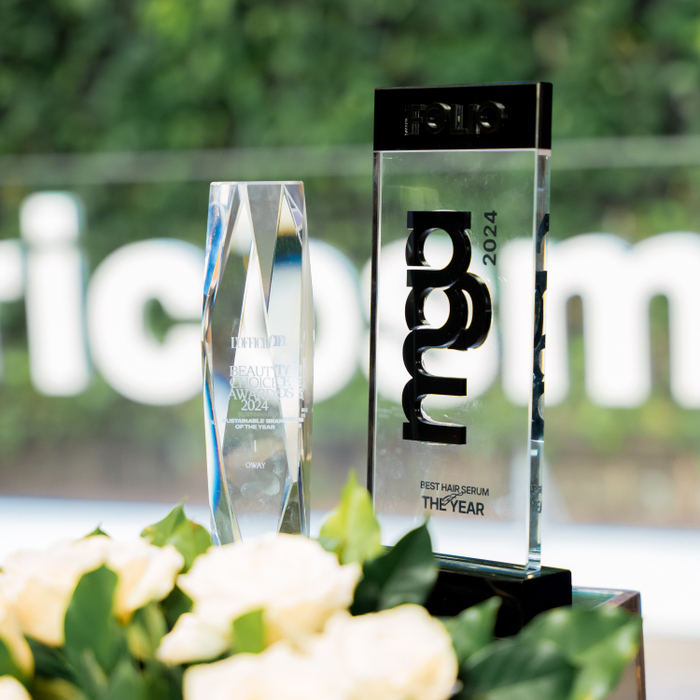 Oway đã khẳng định vị thế với 2 giải thưởng lớn trong năm 2024