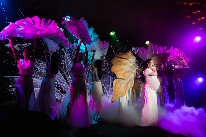 Nhật Kim Anh Làm Mẹ Lần 2 Ở Tuổi 40 Ảnh 4