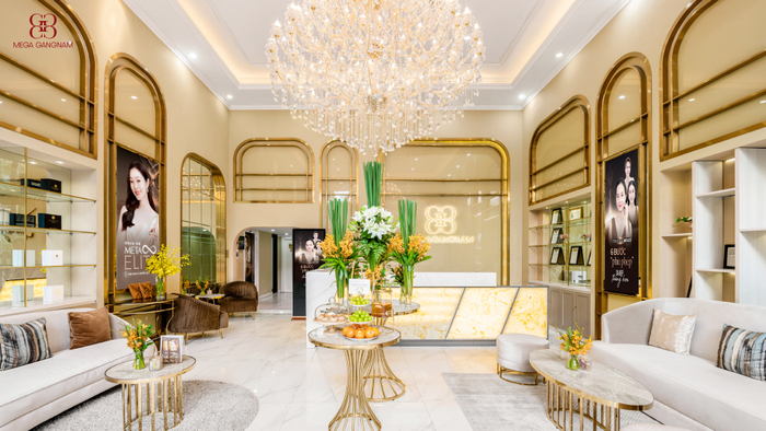 Mega Gangnam – Biểu tượng làm đẹp đẳng cấp cho giới thượng lưu Ảnh 4