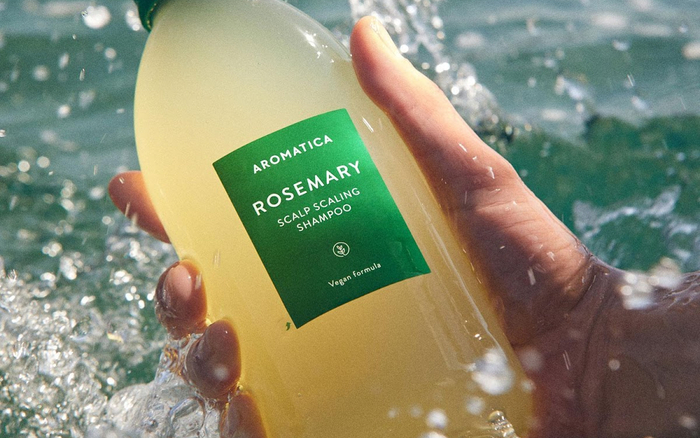 4 lý do khiến dầu gội hương thảo Aromatica 'được lòng' hàng triệu người tiêu dùng trên toàn thế giới Ảnh 2