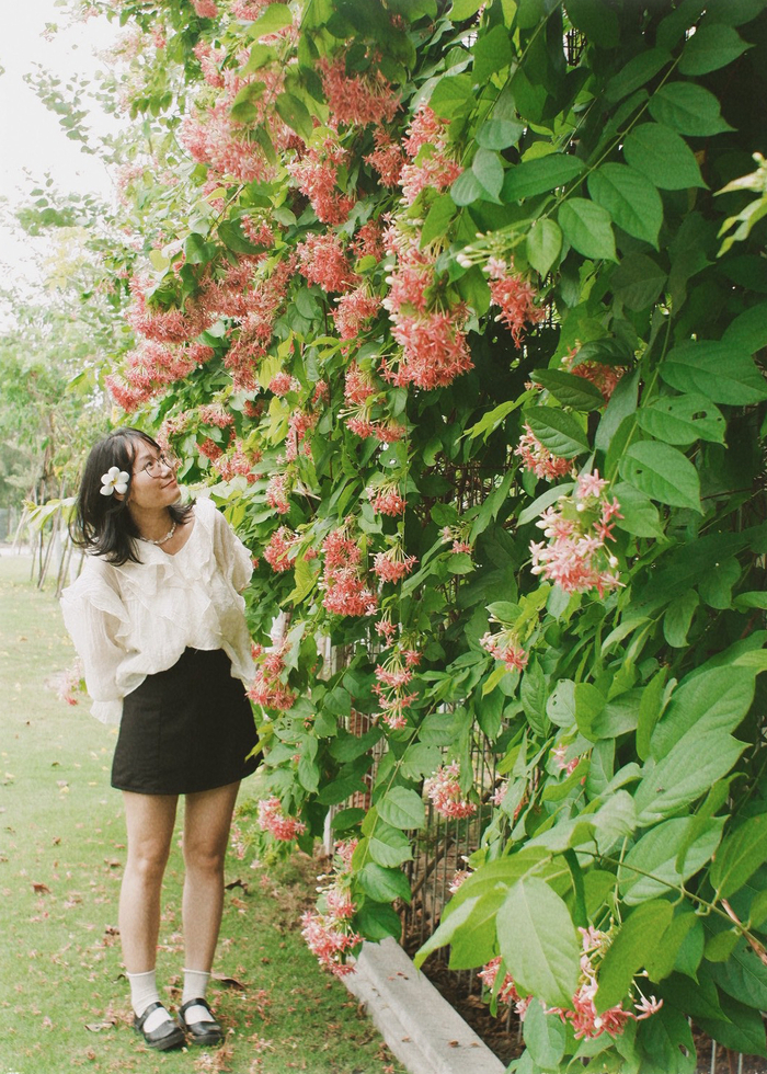 Chẳng cần đi xa để chữa lành, cứ thả mình vào thảm hoa lá ở trường là cắt đứt nỗi sầu ngay thôi