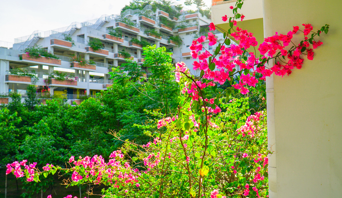 Thiết kế các toà nhà đón gió, đón ánh sáng, tối ưu công năng sử dụng cho người học. Với điểm nhấn là cảnh quan xanh vườn cây, các loại hoa, Trường ĐH FPT phân hiệu TP. HCM mang đặc trưng cảnh quan của một công trình giáo dục miền đất phương Nam.