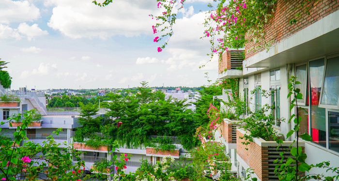 Ngôi trường như một resort xanh tươi đẹp, mang lại không gian học tập thư thái cho người học.