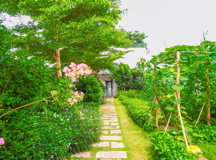 Những lối nhỏ rất thơ dẫn vào khu vực giảng đường trở thành điểm nhấn của campus xanh tươi.