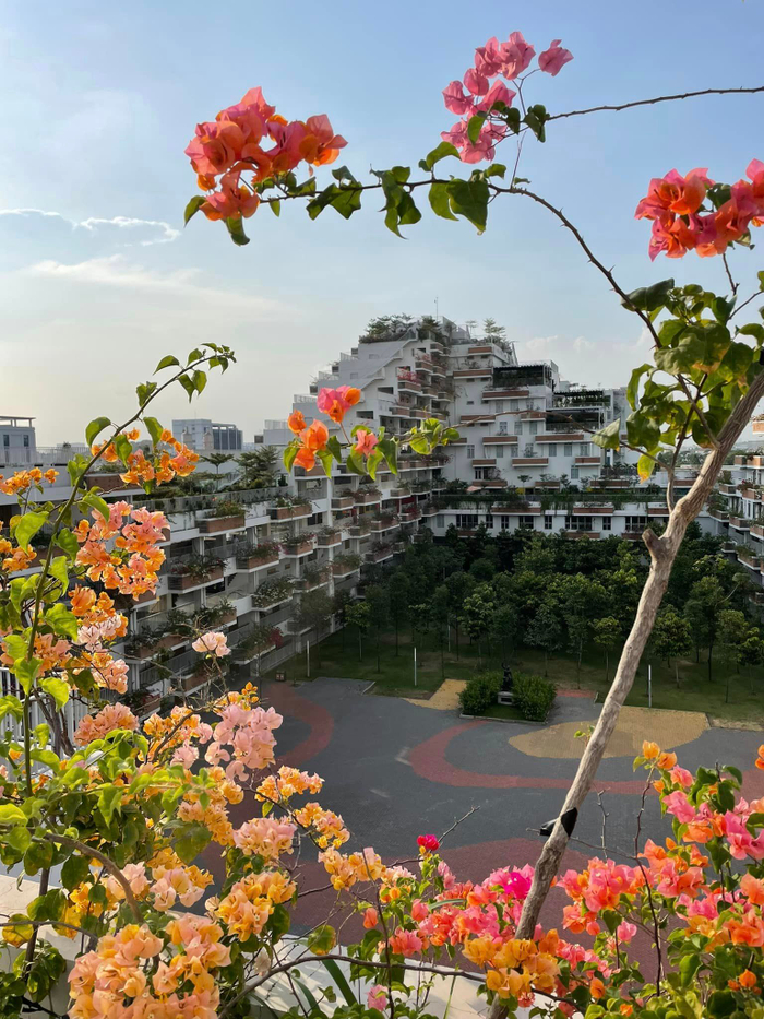 Dưới ống kính của “nhiếp ảnh gia” tay ngang là sinh viên, giảng viên, Trường ĐH FPT phân hiệu TP. HCM mang một vẻ đẹp rất riêng.