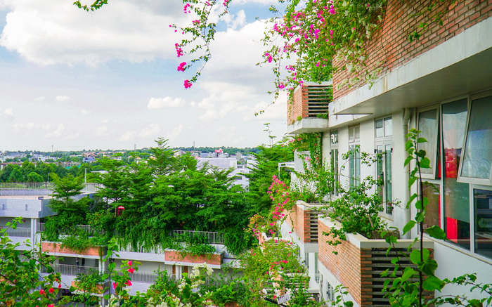 Trường ĐH xanh như resort, đẹp lãng mạn qua ống kính 'nhiếp ảnh gia' tay ngang Ảnh 2