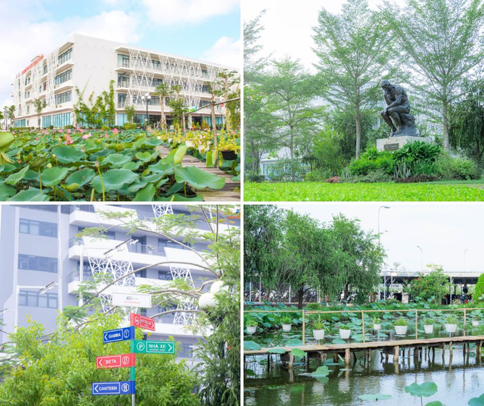 Ngôi trường cũng khiến các bạn trẻ dễ “lụi tim” bởi những góc nhỏ xinh xắn, tràn ngập màu sắc của cây xanh, hoa cỏ. Góc nào cũng đẹp, nên thơ, mang đậm nét đặc trưng cuộc sống miền Tây.