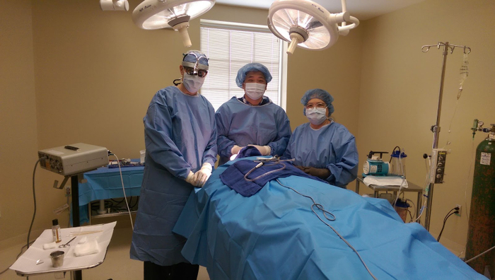 Phẫu thuật tạo hình với thầy Albert Fox, Hoa Kỳ. 