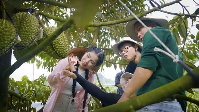 Hẳng Du Mục cùng ekip trực tiếp ghé thăm vườn sầu riêng ở Khánh Hòa