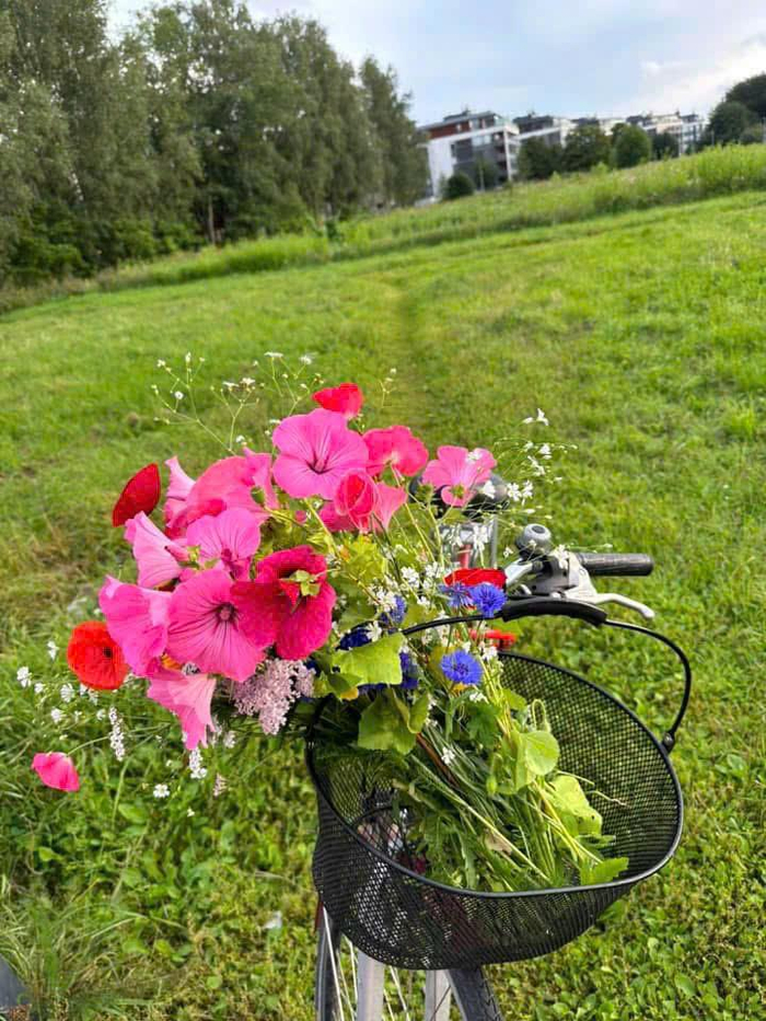 Hành trình tìm bình yên nơi xứ lạnh: Chuyện của Mạc Anh Thư và 19 Floral Ảnh 1