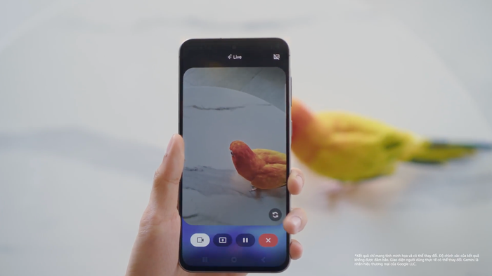 Chia sẻ camera là cách để Gemini Live có thể quan sát và đưa ra câu trả lời mang tính cá nhân hoá theo thời gian thực