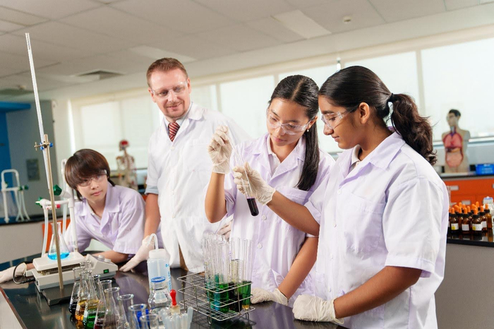 Trường Quốc tế Châu Âu TP.HCM chính thức đạt kiểm định quốc tế WASC Ảnh 2