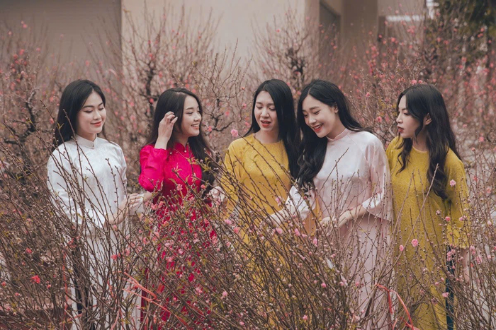 Đường hoa đào – mai rực rỡ sẽ là một trong những điểm check-in không thể bỏ lỡ tại Lễ hội Xuân - Green Paradise Tet Fest