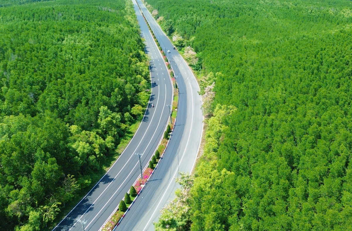 Với đường chạy 'chạm biển - xuyên rừng' cùng sự góp mặt của các đối tác di chuyển xanh là VinFast, Xanh SM, VnExpress Marathon Green Paradise Cần Giờ là giải chạy có cung đường xanh nhất hệ thống VnExpress Marathon