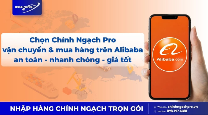 Chính Ngạch Pro mua hộ trên Alibaba giá rẻ, vận chuyển nhanh