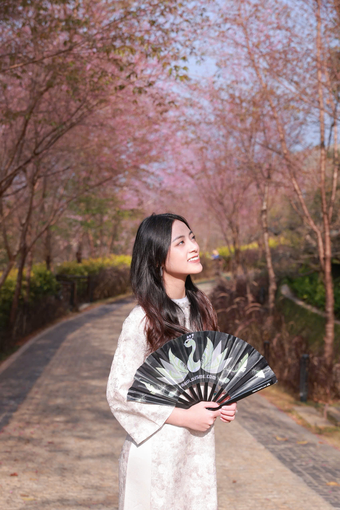 Biểu tượng chim công trong hệ nhận diện của FabulousMe Ảnh 3