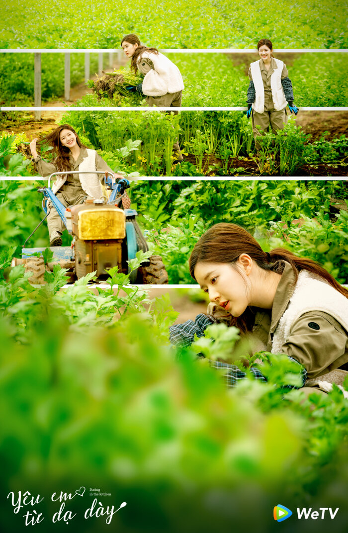 Điểm danh loạt phim ngôn tình không thể bỏ qua tháng 9/2020 Ảnh 4