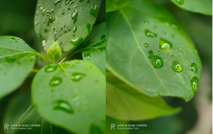 Sống ảo “siêu chất” khi biết tận dụng tối ưu camera Realme 7 Pro với 7 tips sau đây Ảnh 2