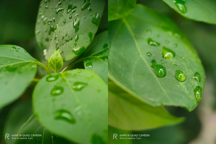 Sống ảo “siêu chất” khi biết tận dụng tối ưu camera Realme 7 Pro với 7 tips sau đây Ảnh 6