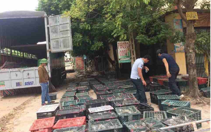 9x Hồ Hữu Hải và hành trình khởi nghiệp mạo hiểm với nghề nuôi chim Ảnh 2