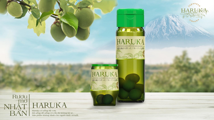 Rượu mơ Nhật Bản Haruka 14 độ, giúp làm đẹp da, cho vẻ ngoài tươi tắn và một tinh thần sảng khoái