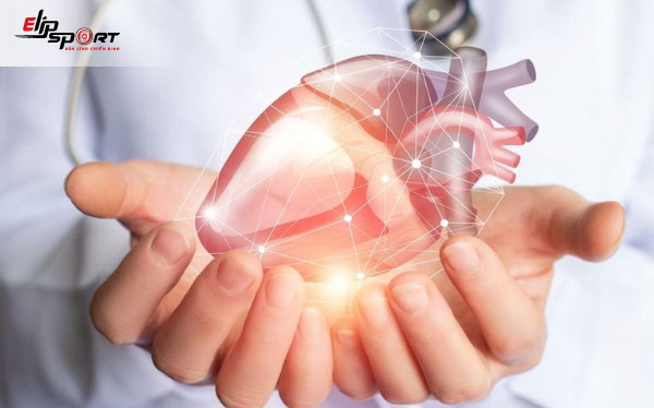 Máy chạy bộ tại nhà mang lại lợi ích gì cho sức khỏe? Ảnh 2