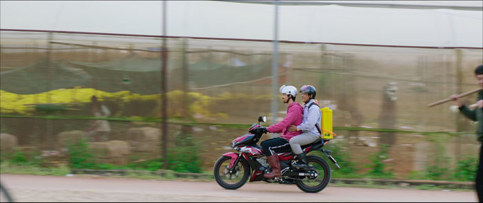 Đi về nhà để chở ba đi mua cây đào cây mai về bày.