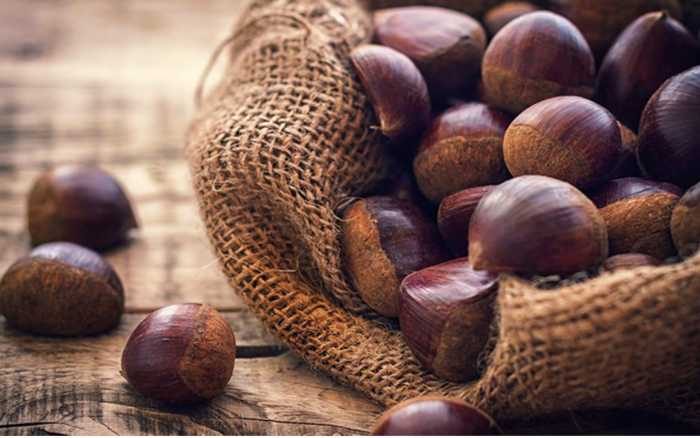 Ngất ngây hương vị lễ hội trong ly Choco Creamcake Hạt Dẻ của ToCoToCo Ảnh 2