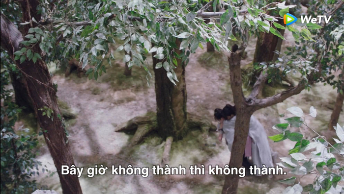 Chu Phỉ lại cõng tạ Doãn rời khỏi Hoắc gia trang tìm người cứu chữa sau khi bị độc phát.