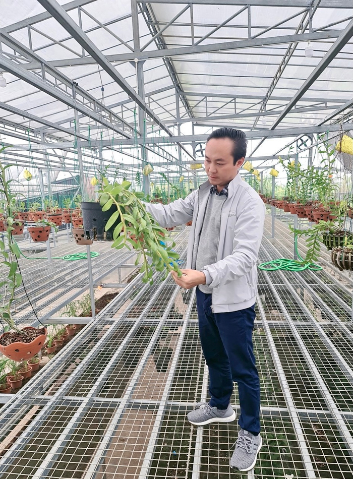 Nghệ nhân Minh Xa chia sẻ cách chăm sóc hoa cho người mới chơi Ảnh 5