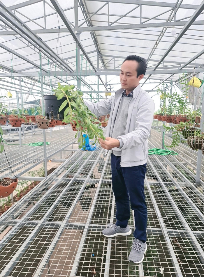 Nghệ nhân Minh Xa chia sẻ cách chăm sóc hoa cho người mới chơi Ảnh 6