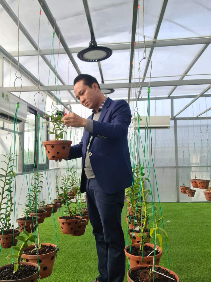 Nghệ nhân Minh Xa chia sẻ cách chăm sóc hoa cho người mới chơi Ảnh 8