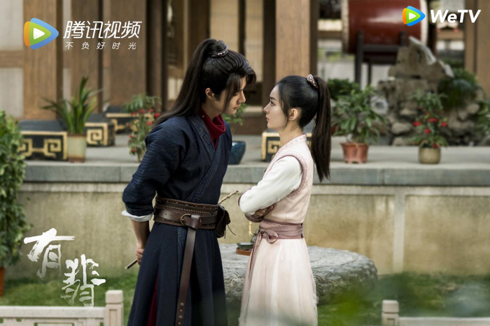 Dàn 'hậu cung' đông đảo của Triệu Lệ Dĩnh trong 'Hữu Phỉ' gồm những ai? Ảnh 3