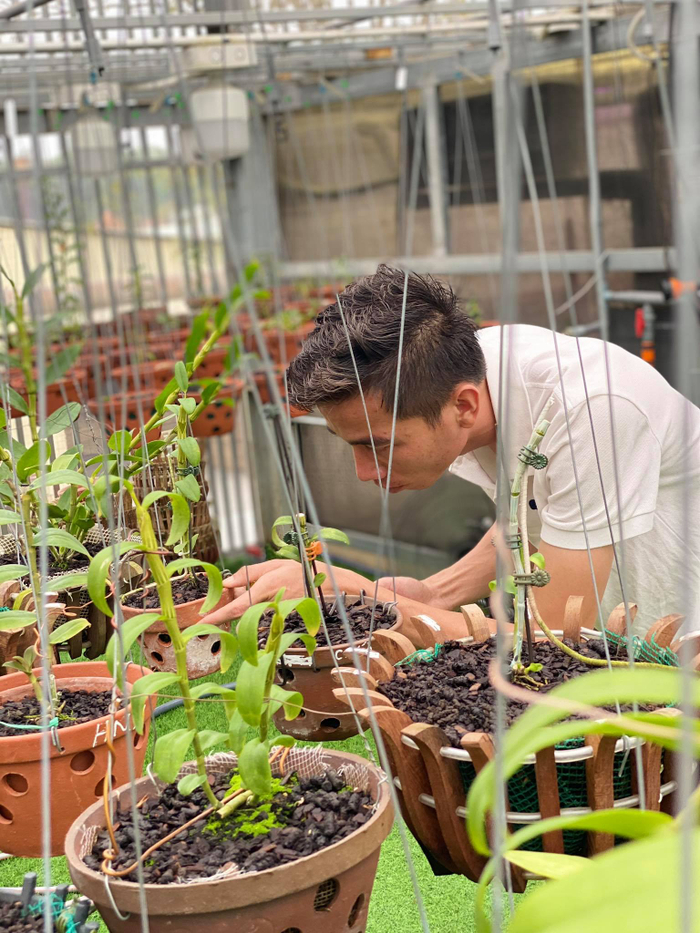 Hé lộ cơ duyên với hoa lan của chàng trai trẻ Lê Bảo Trân Ảnh 3