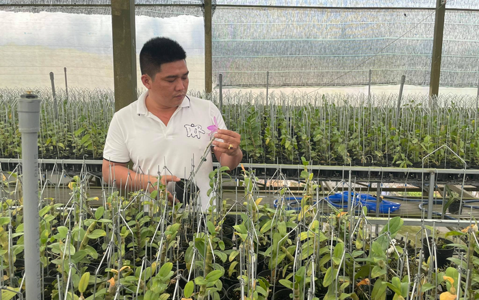 Hé lộ bí quyết thành công của ông chủ vườn lan Lê Văn Nam Ảnh 2