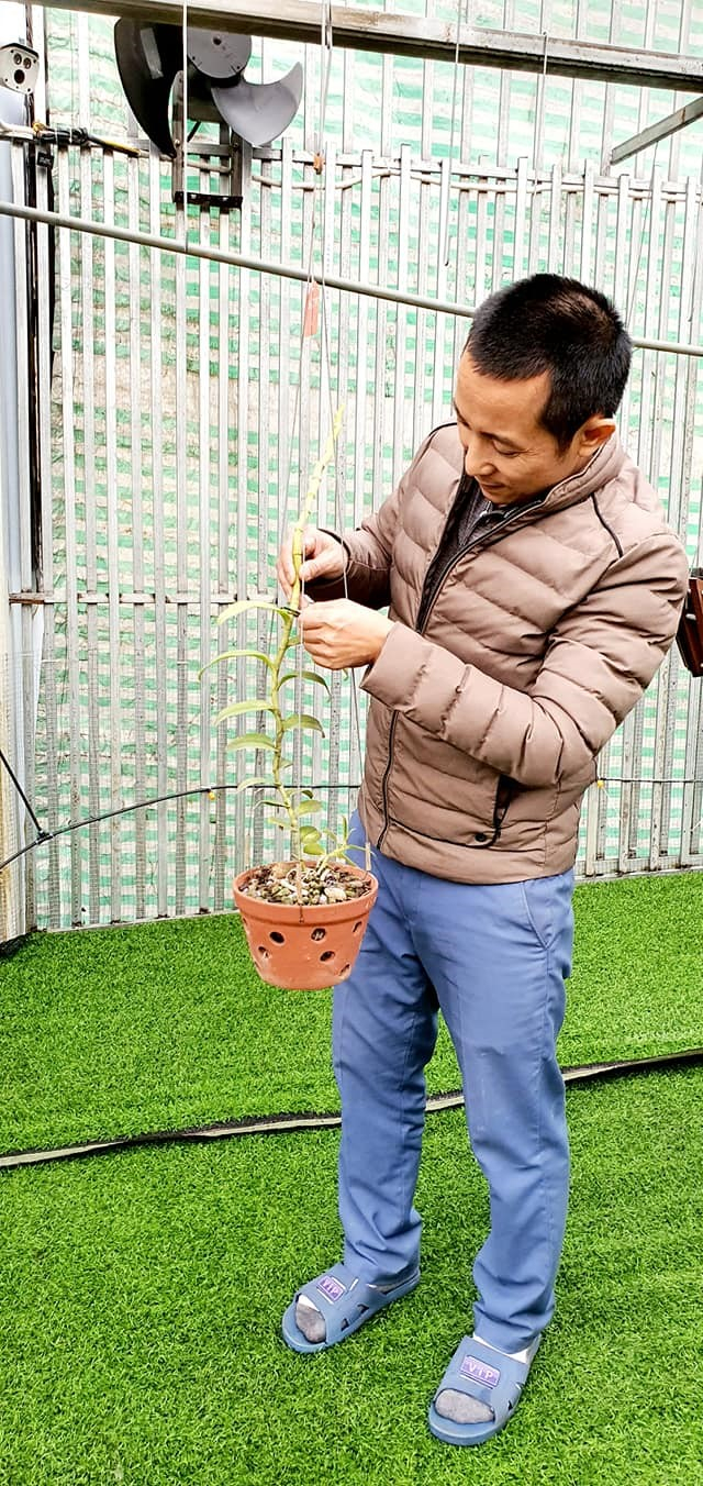 Anh Dũng tại vườn lan của mình.