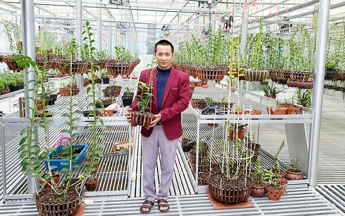 Nghệ nhân Dũng Công Tử - Duyên phận bất ngờ với hoa lan Ảnh 2