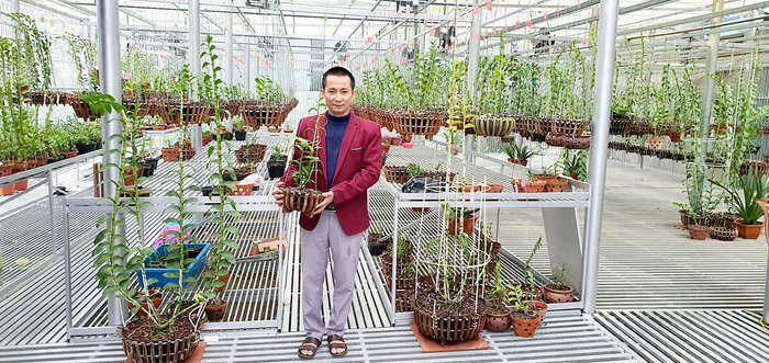 Vườn lan khiến nhiều người mơ ước của Dũng Công Tử.