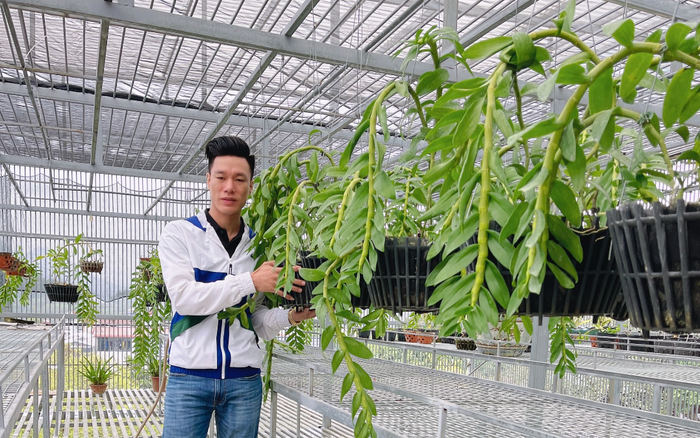 Thầy giáo Vũ Hoàng Giang và giá trị của vườn lan khủng Ảnh 2