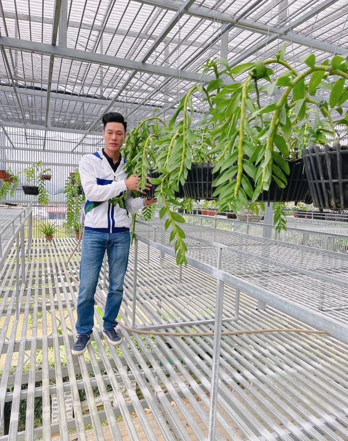 Thầy giáo Vũ Hoàng Giang và giá trị của vườn lan khủng Ảnh 3