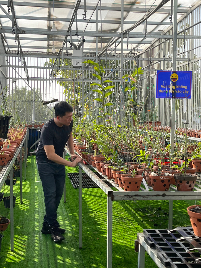 Doãn Chinh và hành trình theo đuổi hoa lan đầy thú vị Ảnh 6