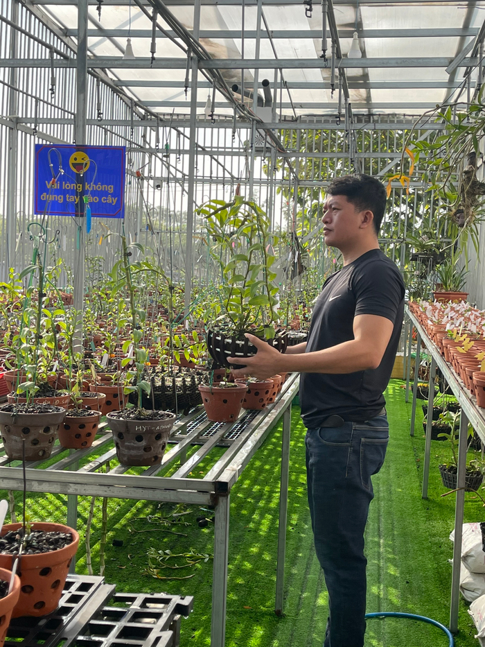 Doãn Chinh và hành trình theo đuổi hoa lan đầy thú vị Ảnh 5